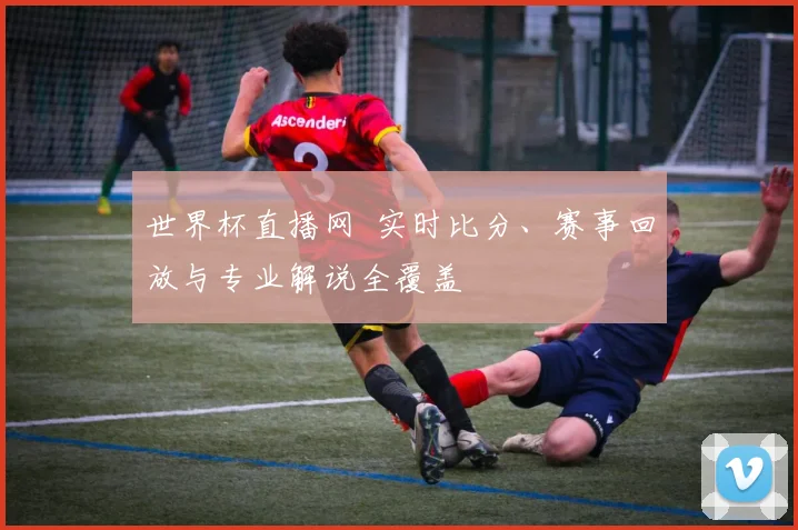 世界杯直播网 实时比分、赛事回放与专业解说全覆盖