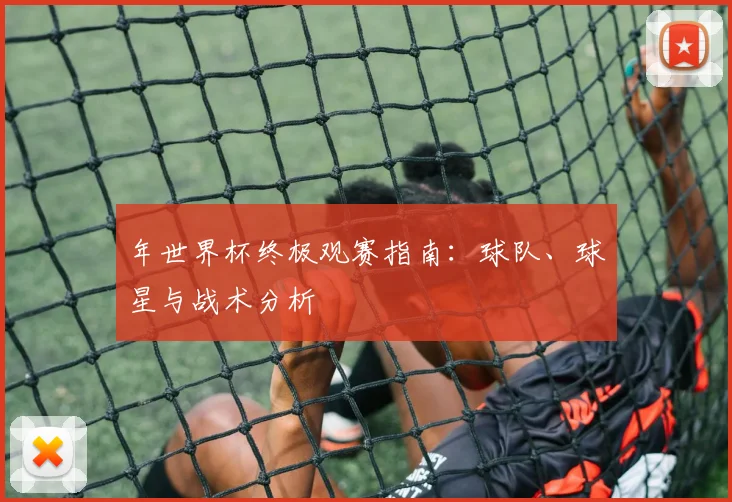 年世界杯终极观赛指南：球队、球星与战术分析
